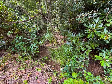 3558 N Norton Road Cullowhee NC 28723