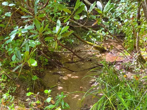 3558 N Norton Road Cullowhee NC 28723