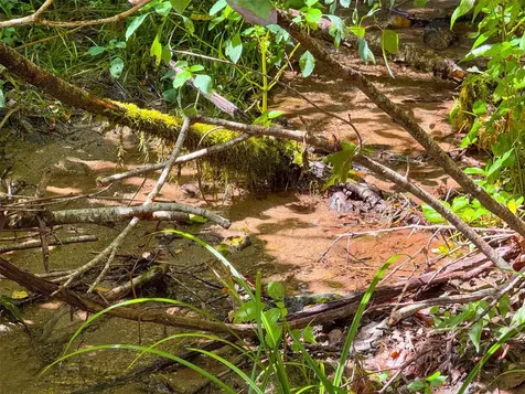 3558 N Norton Road Cullowhee NC 28723