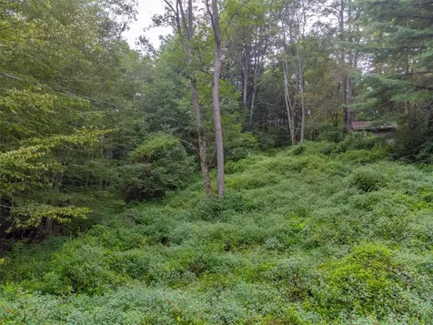 3558 N Norton Road Cullowhee NC 28723