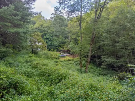 3558 N Norton Road Cullowhee NC 28723