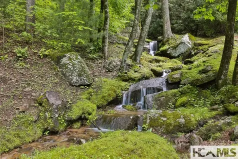 67 Chimney Overlook Drive Scaly Mountain NC 28775