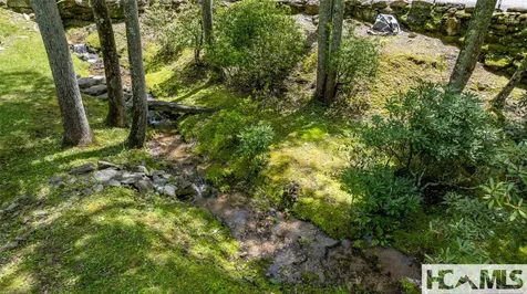 67 Chimney Overlook Drive Scaly Mountain NC 28775