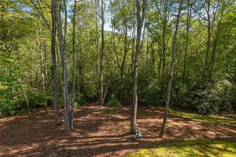 5 Springs Way Sapphire NC 28774