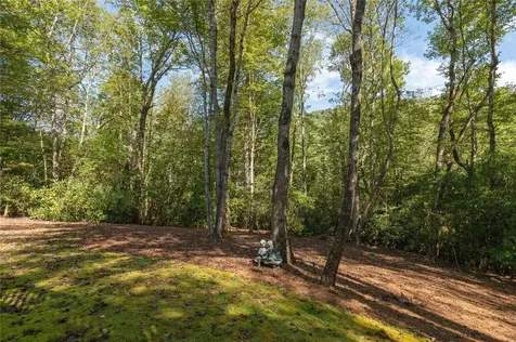 5 Springs Way Sapphire NC 28774