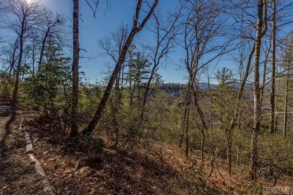 Lot 50 Winter Green Drive Glenville NC 28716