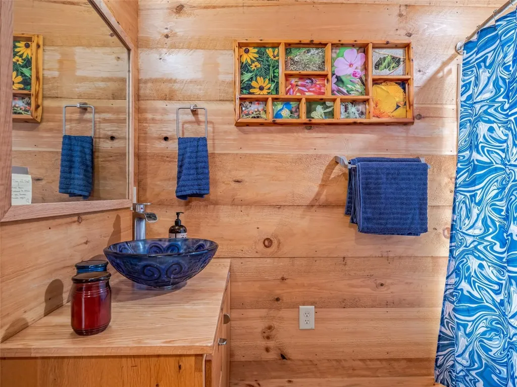 415 Shady Grove Road Tuckasegee NC 28783