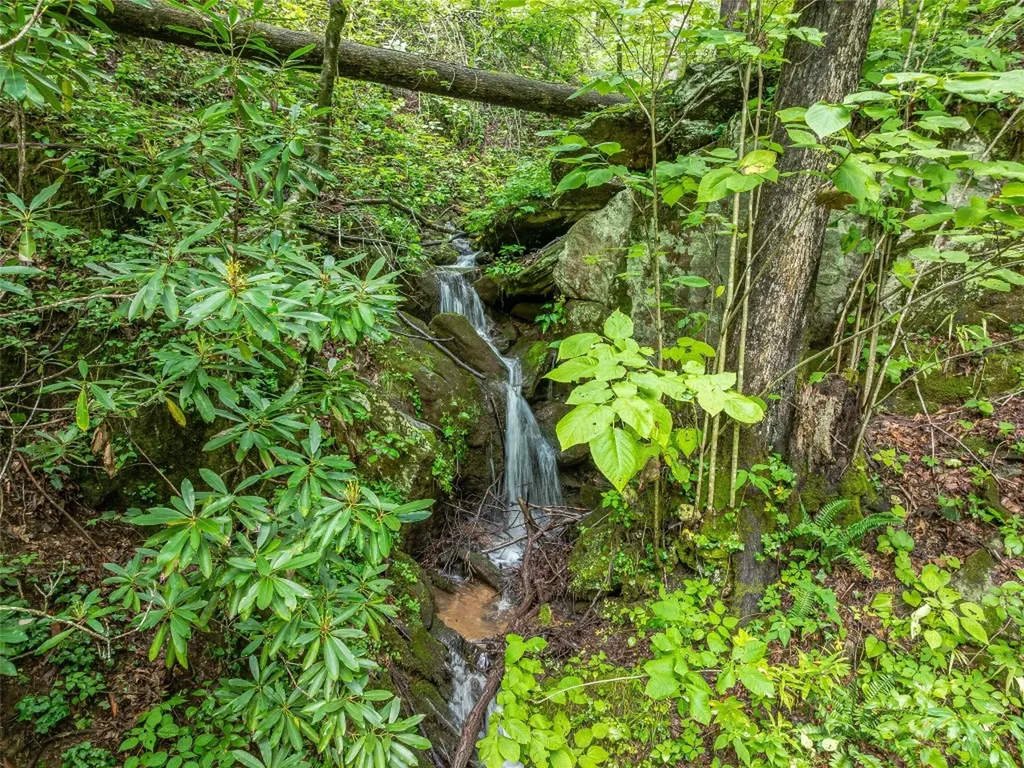 415 Shady Grove Road Tuckasegee NC 28783