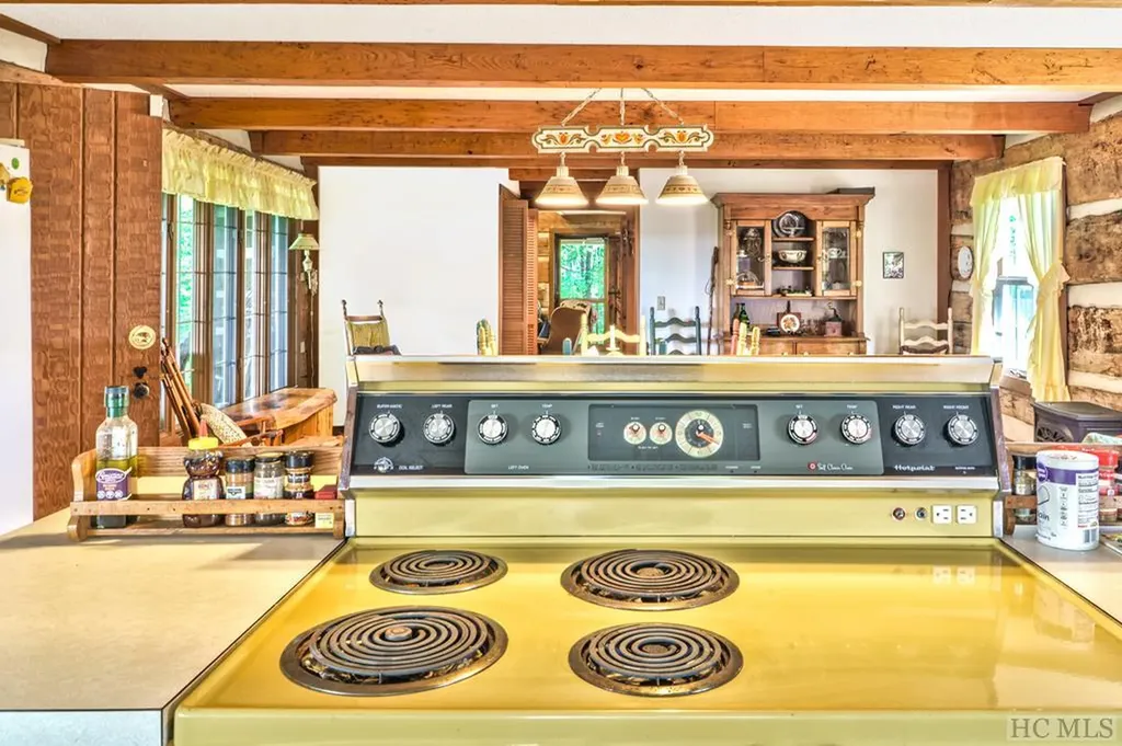 451 Buck Knob Road Scaly Mountain NC 28775