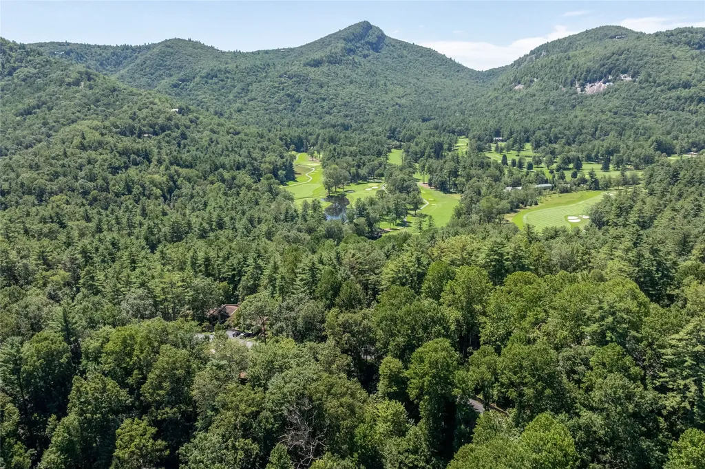 98 Dogwood Knob Sapphire NC 28774