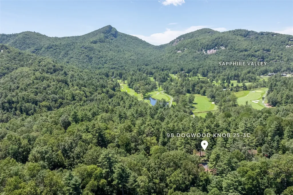 98 Dogwood Knob Sapphire NC 28774