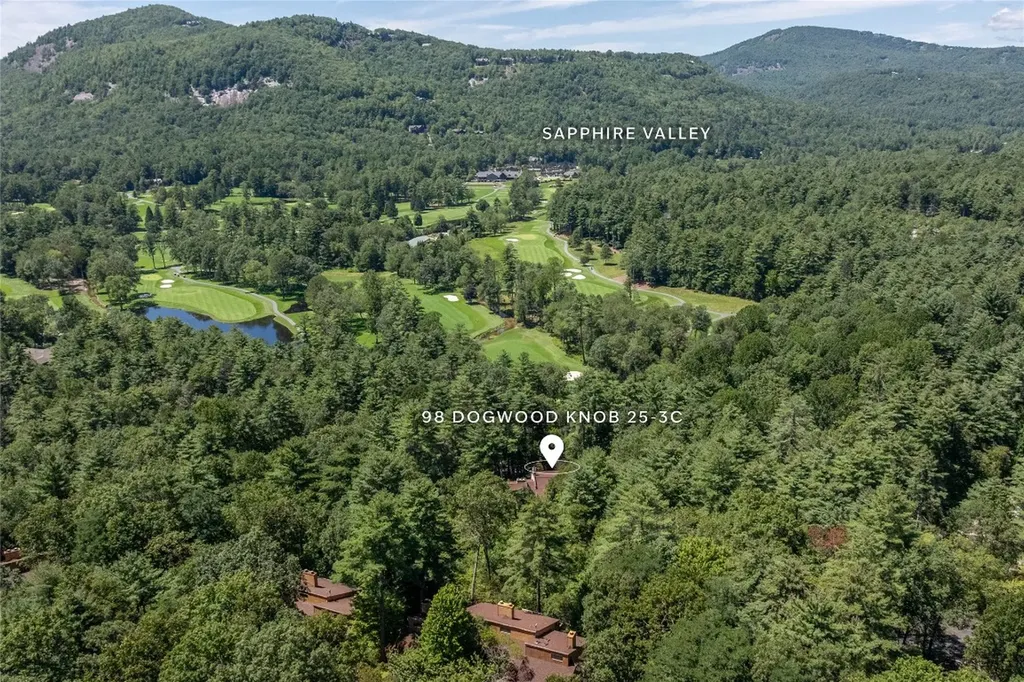 98 Dogwood Knob Sapphire NC 28774