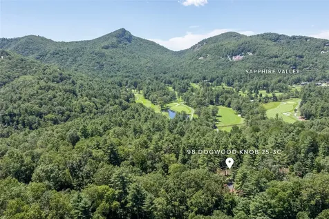 98 Dogwood Knob Sapphire NC 28774