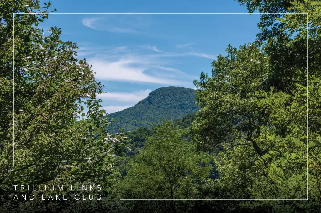 Lot 1 Trillium Ridge Road Cullowhee NC 28723