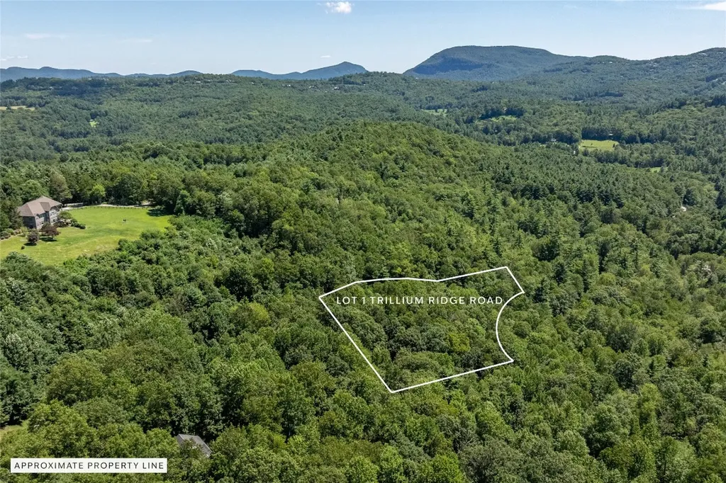 Lot 1 Trillium Ridge Road Cullowhee NC 28723