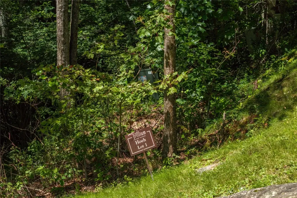 Lot 1 Trillium Ridge Road Cullowhee NC 28723