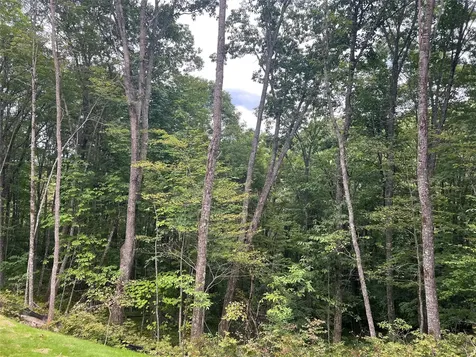 39 New Settlers Way Glenville NC 28736