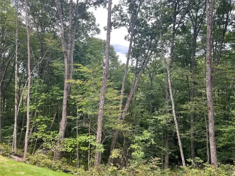 39 New Settlers Way Glenville NC 28736