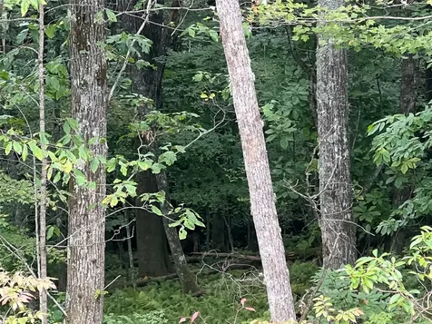 39 New Settlers Way Glenville NC 28736