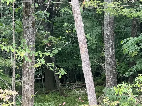 39 New Settlers Way Glenville NC 28736