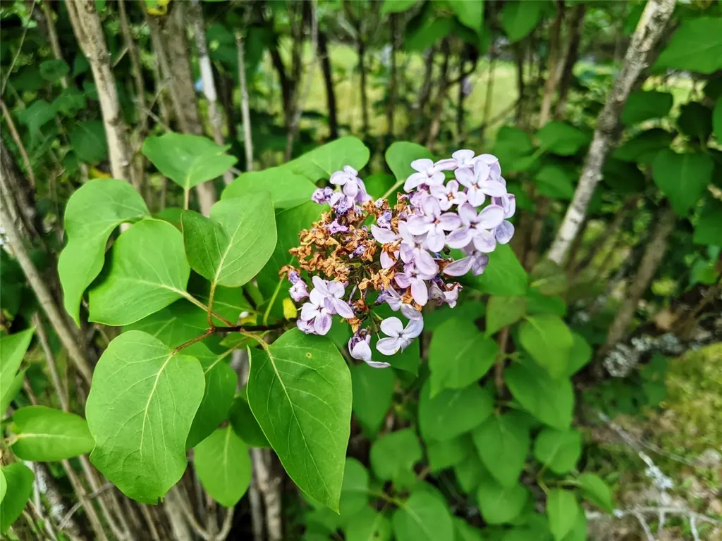 872 Highway 64 Cashiers NC 28717