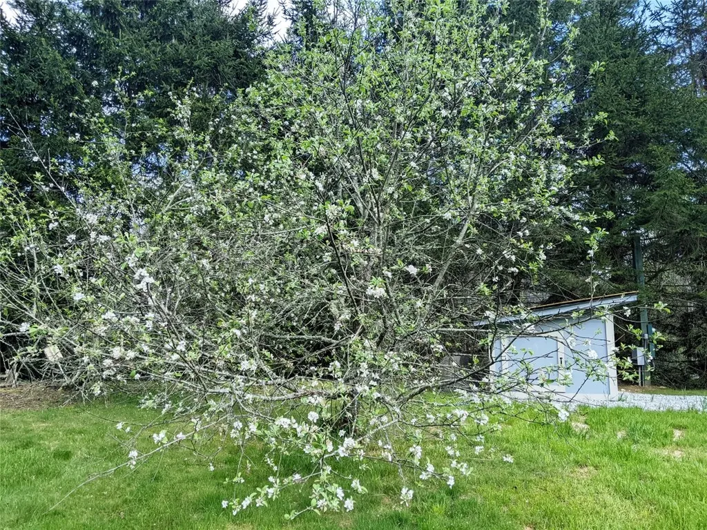 872 Highway 64 Cashiers NC 28717