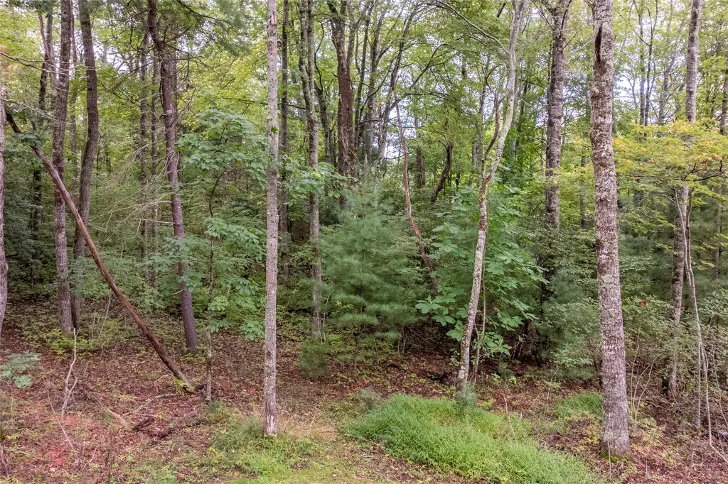 W23 Fish Camp Trail Glenville NC 28736