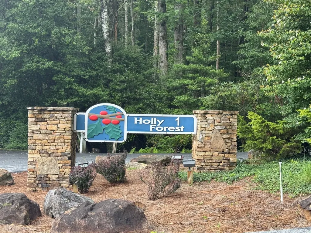 Lot 66 West Christy Trail Sapphire NC 28774