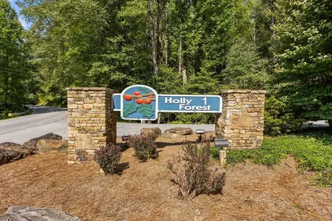 285 Holly Forest Court Sapphire NC 28774