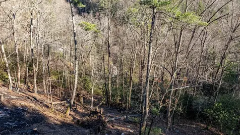 Lot 13 Saratay Falls Drive Cashiers NC 28717