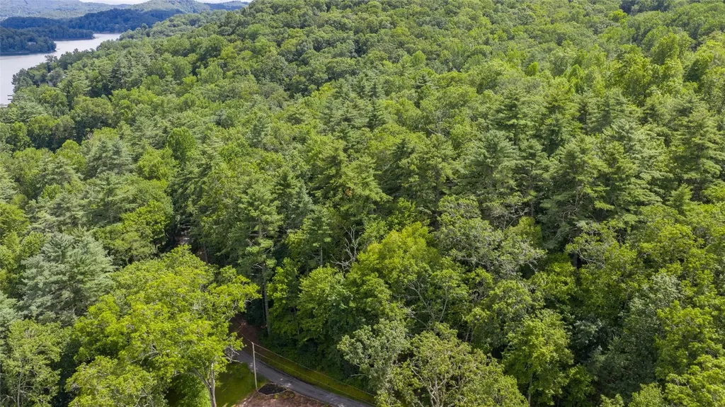 21 Woods Mountain Trail Cullowhee NC 28723