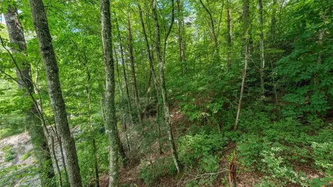 21 Woods Mountain Trail Cullowhee NC 28723