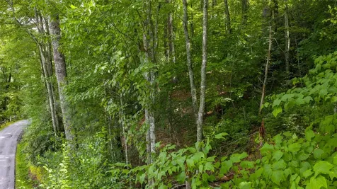 21 Woods Mountain Trail Cullowhee NC 28723