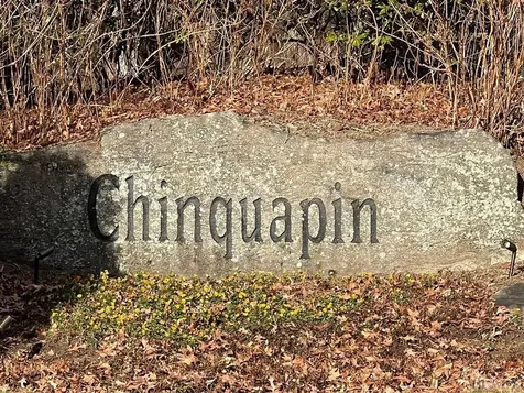 Lt 124 Rippling Waters Trail Glenville NC 28736