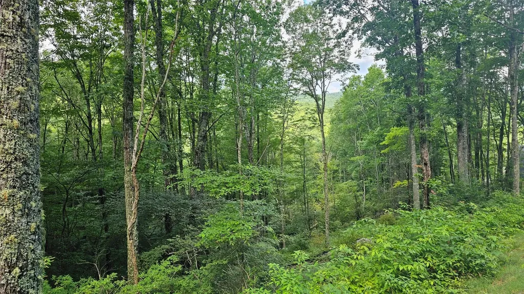 C25 Roaming Road Glenville NC 28736