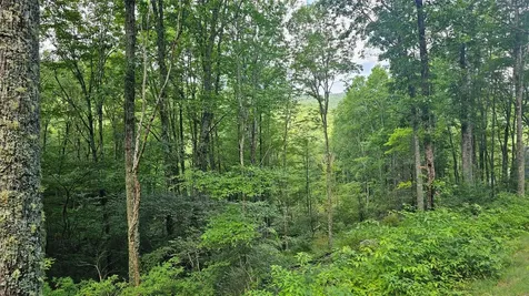 C25 Roaming Road Glenville NC 28736