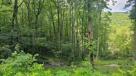 C25 Roaming Road Glenville NC 28736