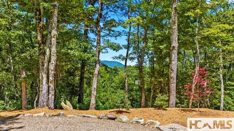 240 Whitewater Ridge Road Sapphire NC 28774