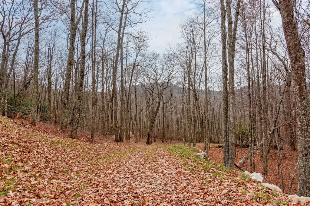Lot D52 Springwater Road Glenville NC 28736