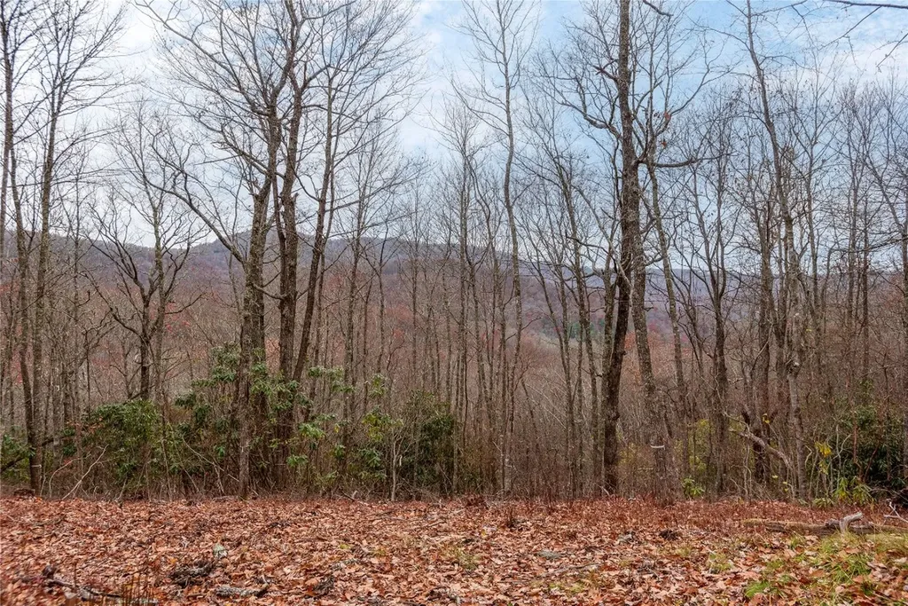 Lot D52 Springwater Road Glenville NC 28736