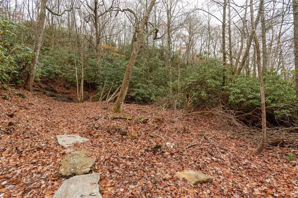 Lot D52 Springwater Road Glenville NC 28736