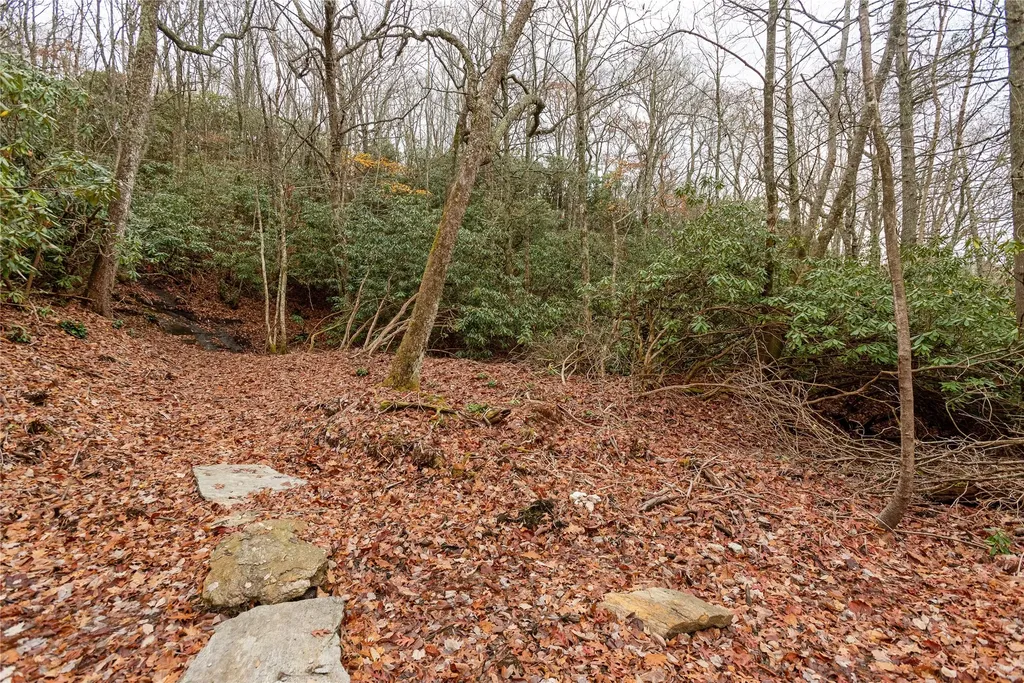 Lot D52 Springwater Road Glenville NC 28736
