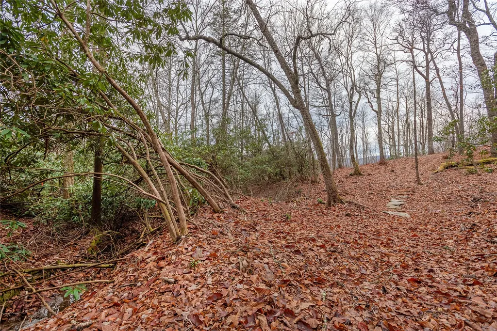 Lot D52 Springwater Road Glenville NC 28736