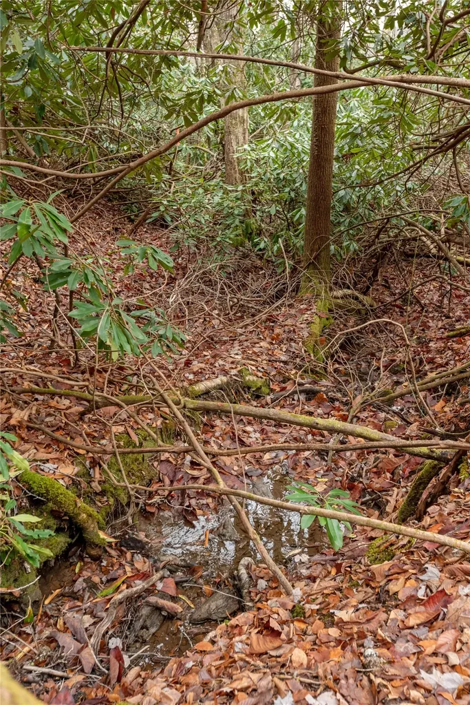 Lot D52 Springwater Road Glenville NC 28736