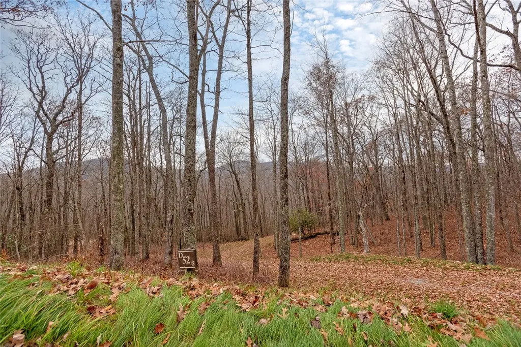 Lot D52 Springwater Road Glenville NC 28736