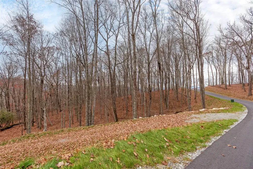 Lot D52 Springwater Road Glenville NC 28736