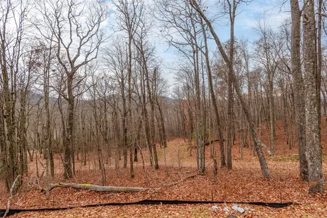 Lot D52 Springwater Road Glenville NC 28736
