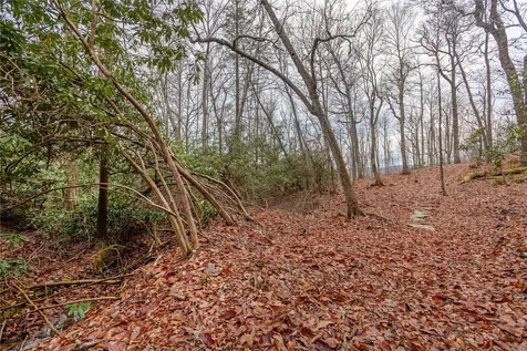 Lot D52 Springwater Road Glenville NC 28736