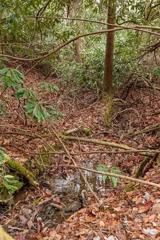 Lot D52 Springwater Road Glenville NC 28736