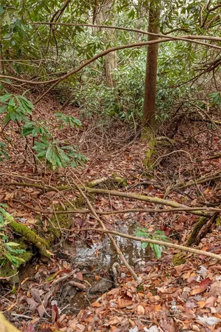 Lot D52 Springwater Road Glenville NC 28736